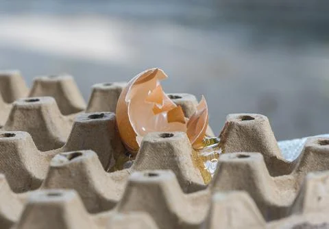 Broken Raw Egg Spilling onto a Cardboard Egg Tray Stock Photos