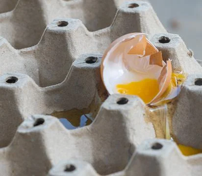 Broken Raw Egg Spilling onto a Cardboard Egg Tray Stock Photos