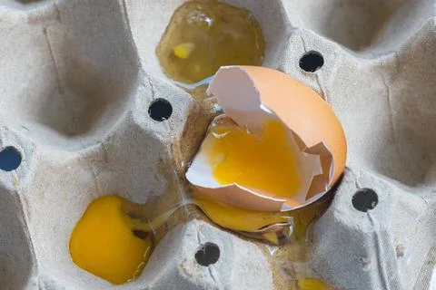 Broken Raw Egg Spilling onto a Cardboard Egg Tray Stock Photos