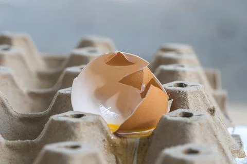 Broken Raw Egg Spilling onto a Cardboard Egg Tray Stock Photos