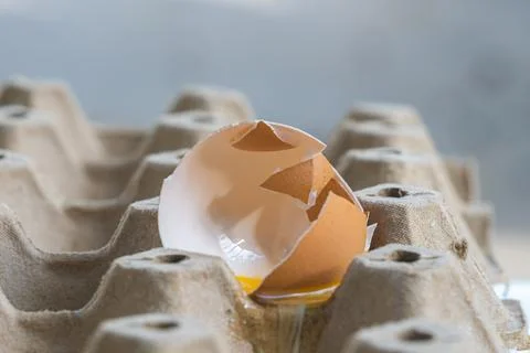 Broken Raw Egg Spilling onto a Cardboard Egg Tray Stock Photos