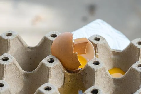 Broken Raw Egg Spilling onto a Cardboard Egg Tray Stock Photos