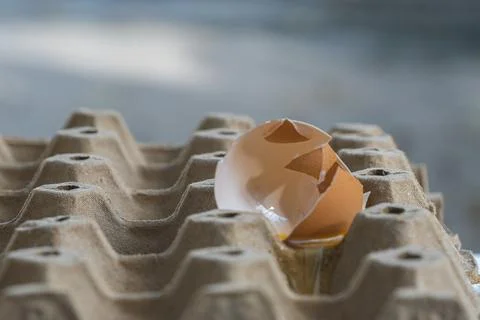 Broken Raw Egg Spilling onto a Cardboard Egg Tray Stock Photos