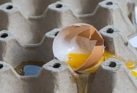 Broken Raw Egg Spilling onto a Cardboard Egg Tray Stock Photos