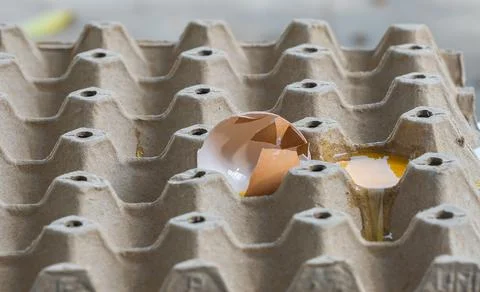 Broken Raw Egg Spilling onto a Cardboard Egg Tray Stock Photos
