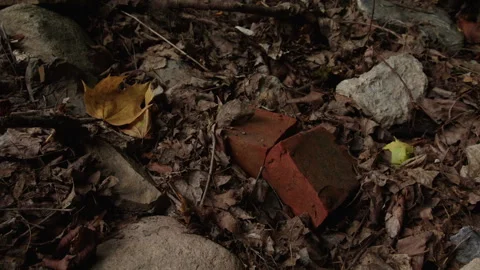 Broken Red Brick Lying Among Dry Leaves and Stones in Forest Video stock 345720119