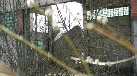 Broken Red brick wall, broken Windows, wood Видео 57323026