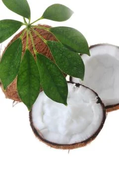 Broken ripe coconut Stock Photos