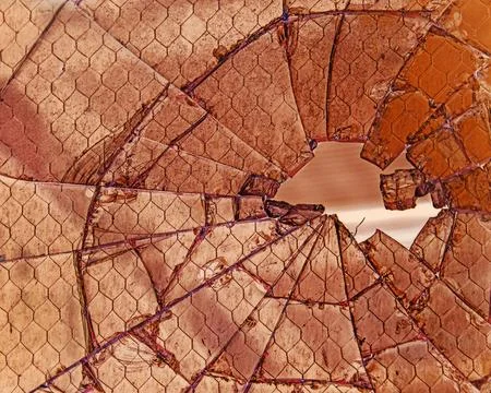 Broken Security Glass 스톡 사진