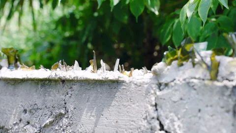 Broken sharp glass pieces walled in concrete top for protection against thieves Stock Footage 302196072