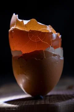 A broken shell from a chicken egg. organic waste. Stock Photos