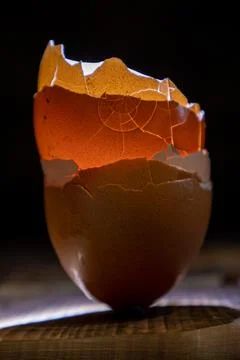 A broken shell from a chicken egg. organic waste. Stock Photos