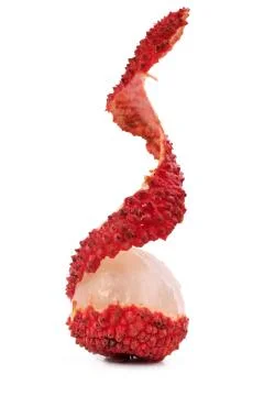 The broken shell litchi on white background Stock Photos
