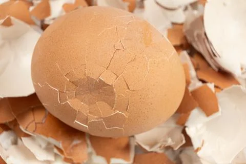 Broken shell texture, macro shot of a hard boiled egg. Foto stock