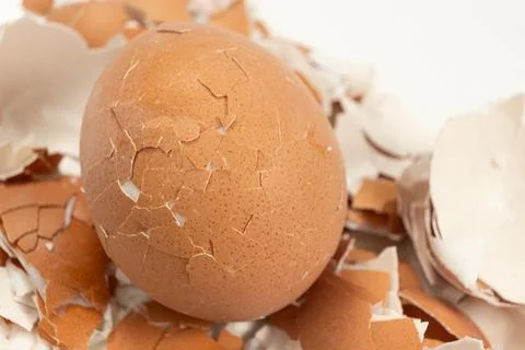 Broken shell texture, macro shot of a hard boiled egg. Stock Photos