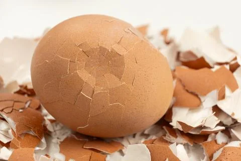 Broken shell texture, macro shot of a hard boiled egg. Foto stock
