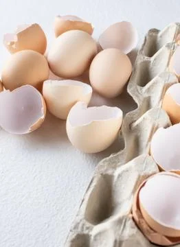 Broken shells and eggs on a white background. Stock Photos