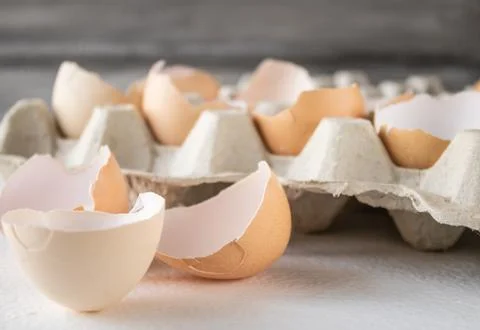 Broken shells from chicken eggs on a white background. Stock Photos