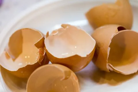 Broken shells of eggs Stock Photos