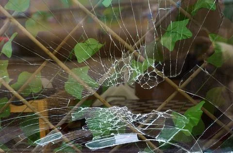A broken shop window behind which a green plant can be seen in the room and a Stock Photos