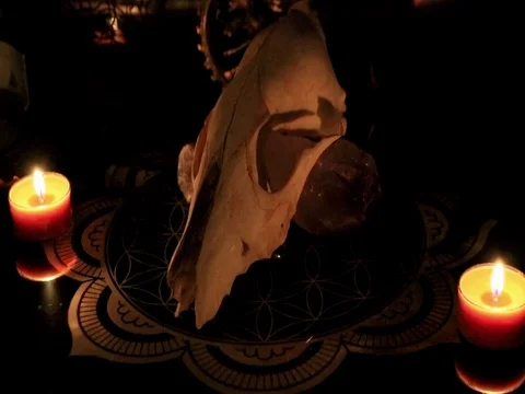 Broken skull2 Video stock 89707321