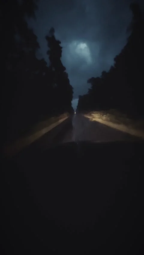 Broken sky over forest road Stock Footage 311674540