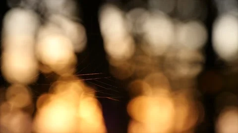 Broken spider web moving in the wind 스톡 동영상 68095878