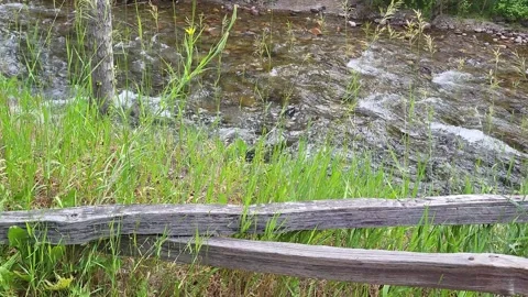 Broken Split Rail Fence Along Bank of Forested River Trail Stock-Footage 339512365