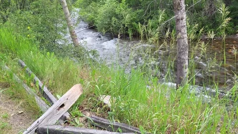Broken Split Rail Fence Along Bank of Forested River Flowing Beside Trail Pan Stock-Footage 339512406