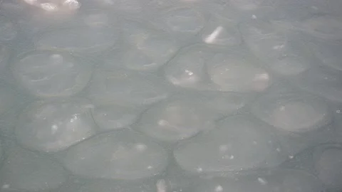 Broken spring ice swaying on the sea surface. Melting ice. Stock Footage 149304840