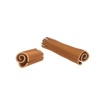 Broken stick of cinnamon. Aromatic spice used in variety of dishes, drinks and Stock-Illustration