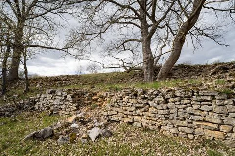 Broken stone wall and trees Stock Photos