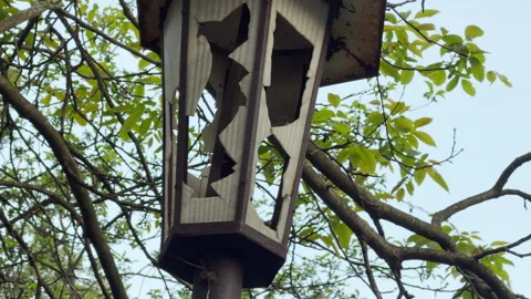 Broken Street Lantern Stands Among Green Tree Branches Against the Sky Stock Footage 335782223
