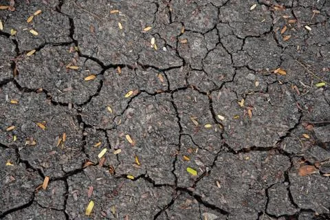 Broken surface of land,sign from globle warming Stock Photos