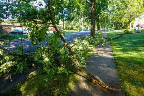 A broken tree branch seen blocking the sidewalk after a severe storm Foto stock