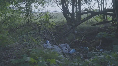 Broken tree branches lay on pile of stones and grass Stock Footage 247791544