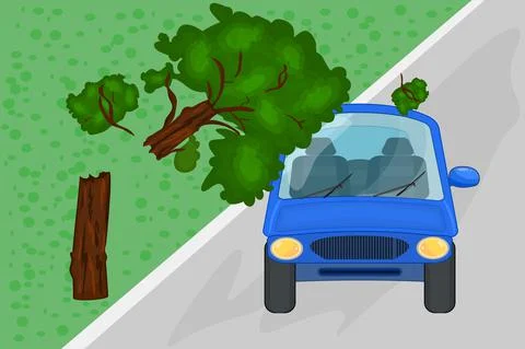 Broken tree fell on car. Tree tumbled on blue automobile roof and windshield. Stock Illustration
