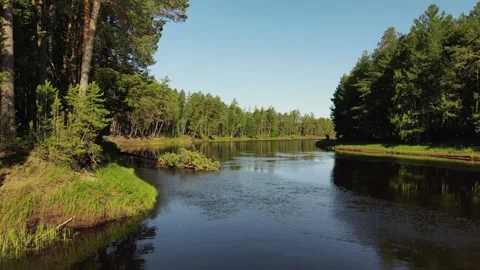 Broken tree fell in the river in Siberia Stock Footage 302207985
