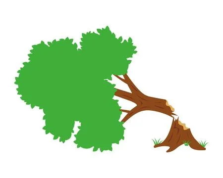 Broken tree fell from strong wind. Stock Illustration