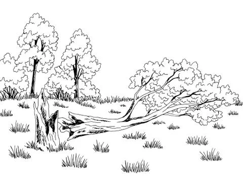 Broken tree graphic black white sketch illustration vector Stock Illustration