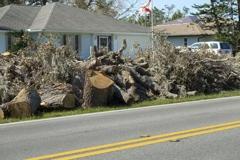 Broken tree limbs and branches on roadside from hurricane wind in Florida Stock Photos