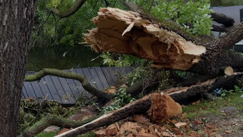 Broken tree trunk and fallen branches across yard beside damaged roof after Stock Footage 344967461