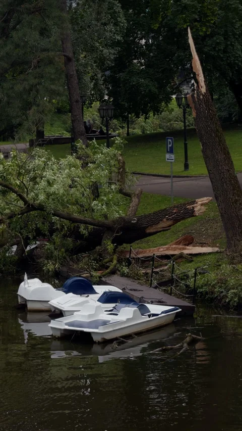 Broken tree trunk blocks park canal beside moored pedal boats after storm damage Stock Footage 344968987