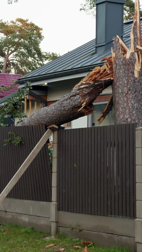 Broken tree trunk crushing residential fence beside house roof after storm Stock Footage 344972875