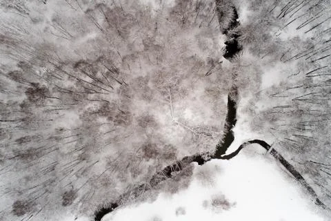 A broken tree in a winter park next to the river. Stock Photos
