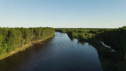 Broken trees above the siberian river and lakes Stock Footage 302206527
