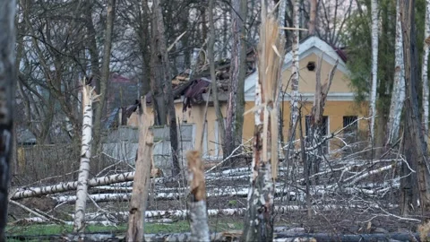 Broken trees with destroyed houses between them after the bombing. Ukraine war Stock Footage 254205917