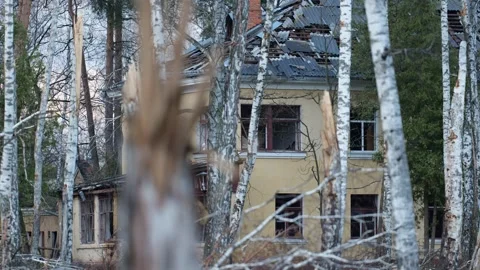 Broken trees with destroyed houses between them after the bombing. Ukraine war Stock-Footage 254207414