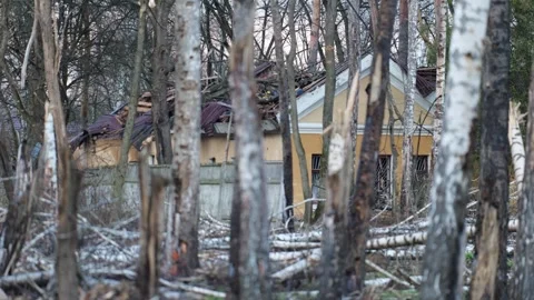Broken trees with destroyed houses between them after the bombing. Ukraine war Stock-Footage 254208271