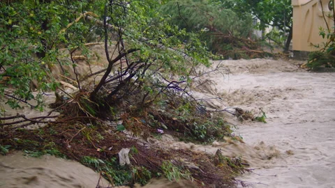 Broken trees during a hurricane and flooding in the city Stock Footage 158432870